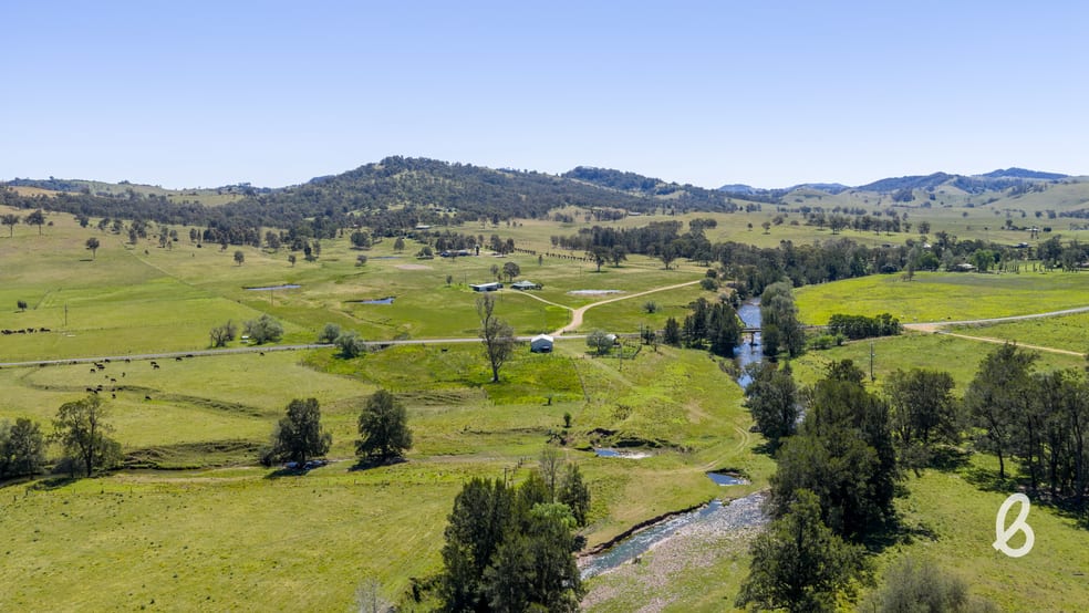11 Roselands Lane Singleton NSW 2330 - Image 2