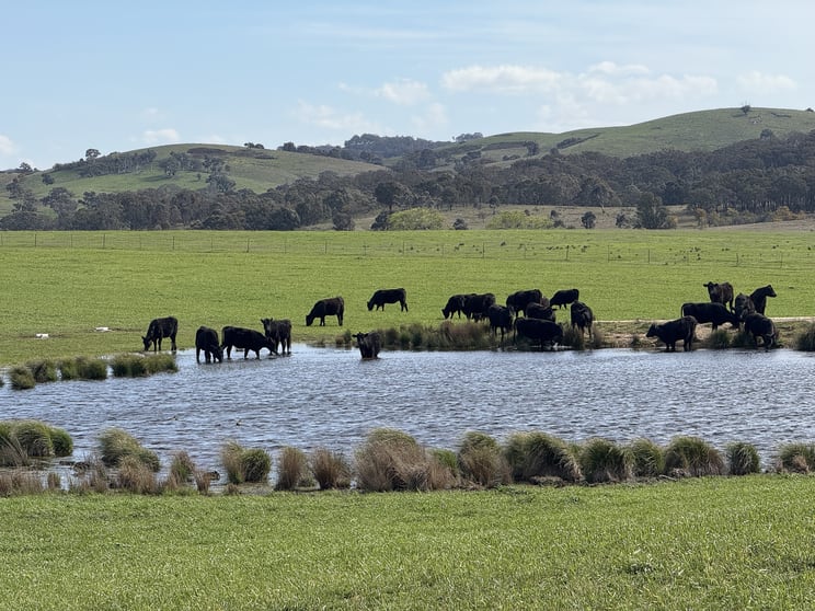 569 & 640 Blakney Creek North Road Blakney Creek NSW 2581 - Image 1