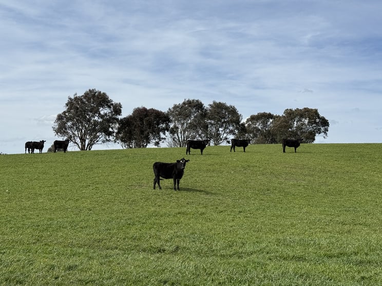 569 & 640 Blakney Creek North Road Blakney Creek NSW 2581 - Image 3