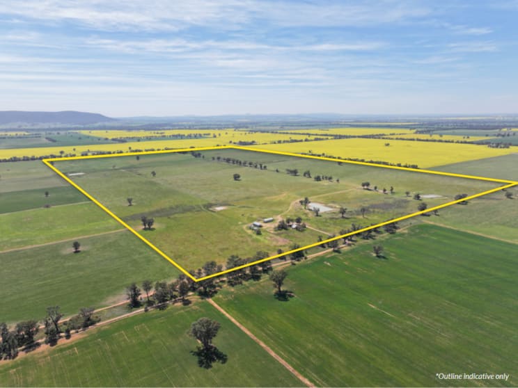 Click to view all images 100 Tauntons Road Kikiamah NSW 2594 - Image 2
