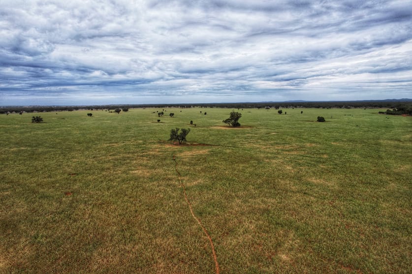 Click to view all images 'Napunyah' 1224 Eremeran Road Condobolin NSW 2877 - Image 2
