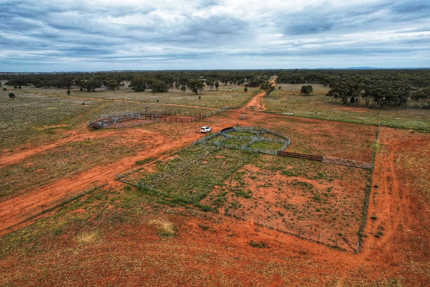 Click to view all images 'Napunyah' 1224 Eremeran Road Condobolin NSW 2877 - Image 3