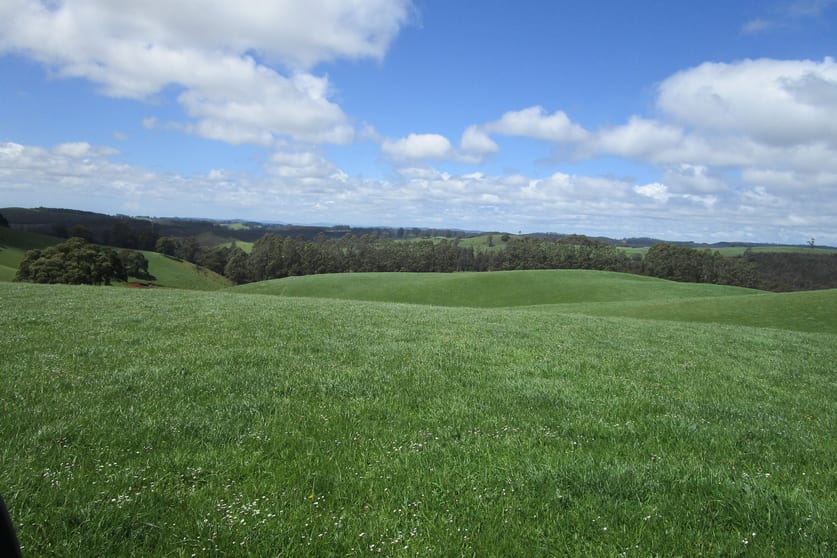 65 Preston-Castra Road Preston TAS 7315 - Image 2