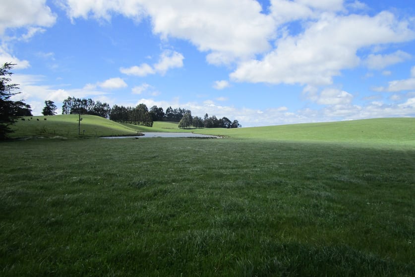 65 Preston-Castra Road Preston TAS 7315 - Image 3