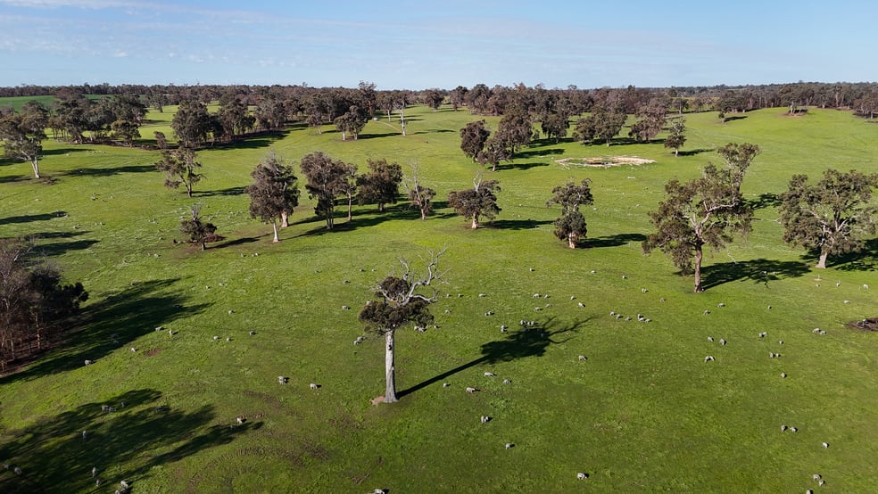 The Lakes, 598 Wariin Road Woottating WA 6562 - Image 2
