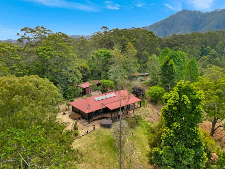 697 Bellingen Road Missabotti NSW 2449 - Image 1