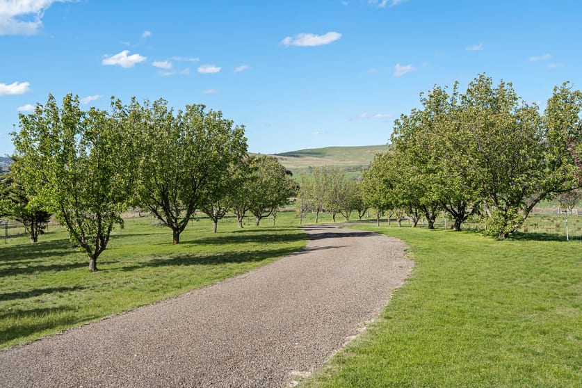 Click to view all images 1249 Gurrundah Road, Parkesbourne via Goulburn NSW 2580 - Image 3