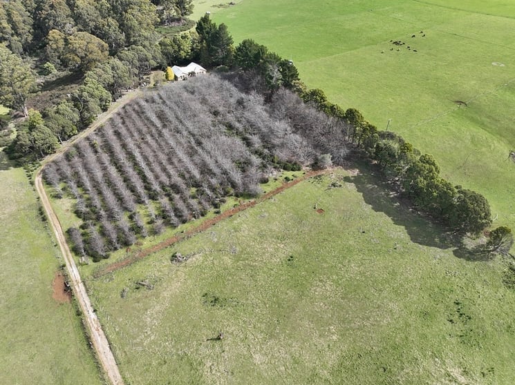 Click to view all images 459 Warringa Road Preston TAS 7315 - Image 3