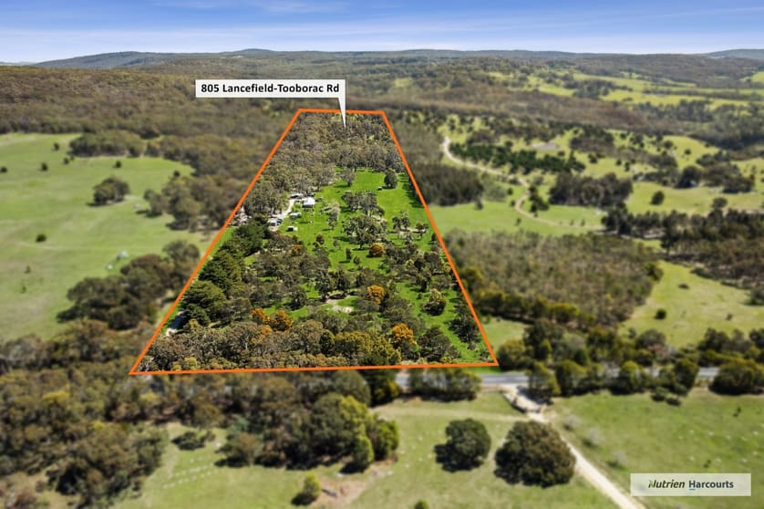805 Lancefield-Tooborac Road Lancefield VIC 3435 - Image 2