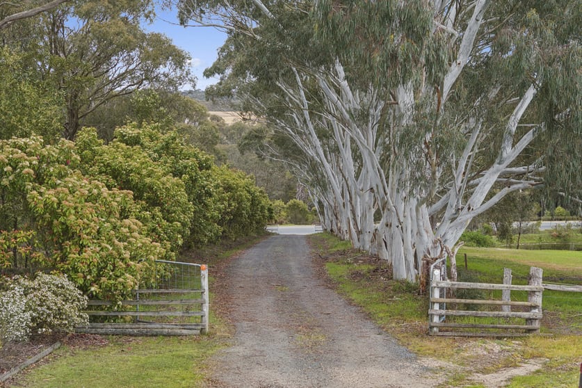 Click to view all images 1349 Glenelg Highway Smythesdale VIC 3351 - Image 3