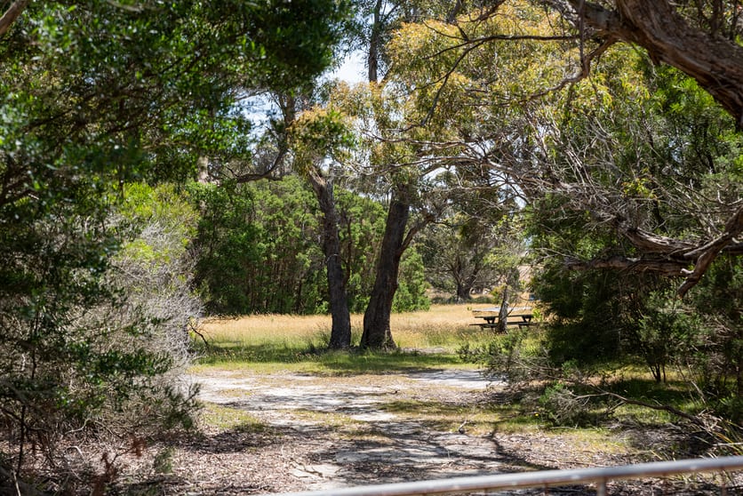Click to view all images 189 Summer Camp Road Memana TAS 7255 - Image 1