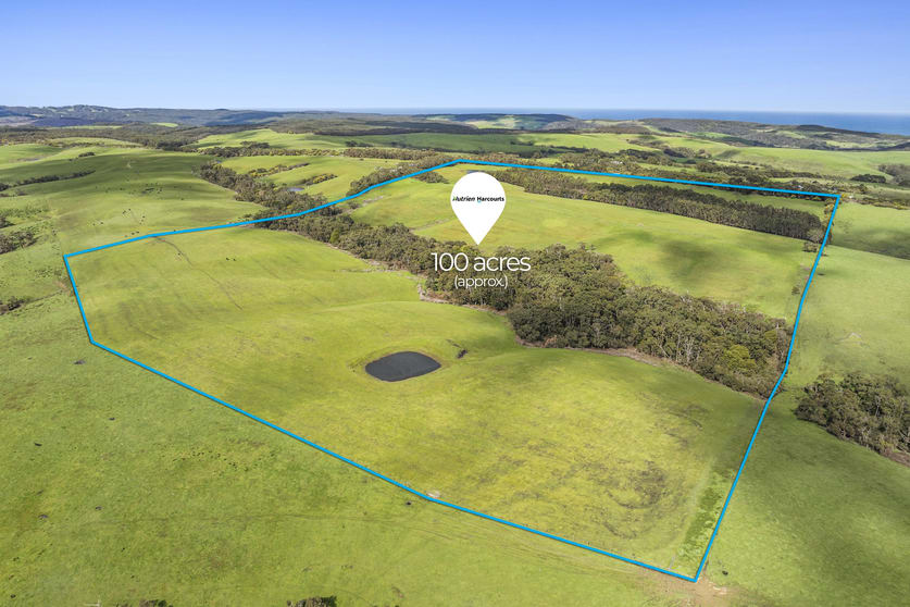 Lot 1 Great Ocean Road Gellibrand Lower VIC 3237 - Image 3