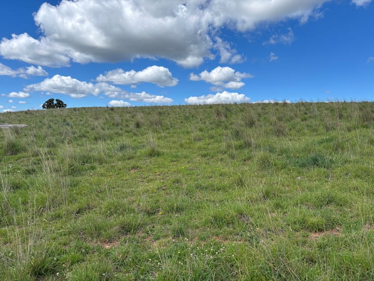 Click to view all images 1186 Campbells River Road Mount David NSW 2795 - Image 1