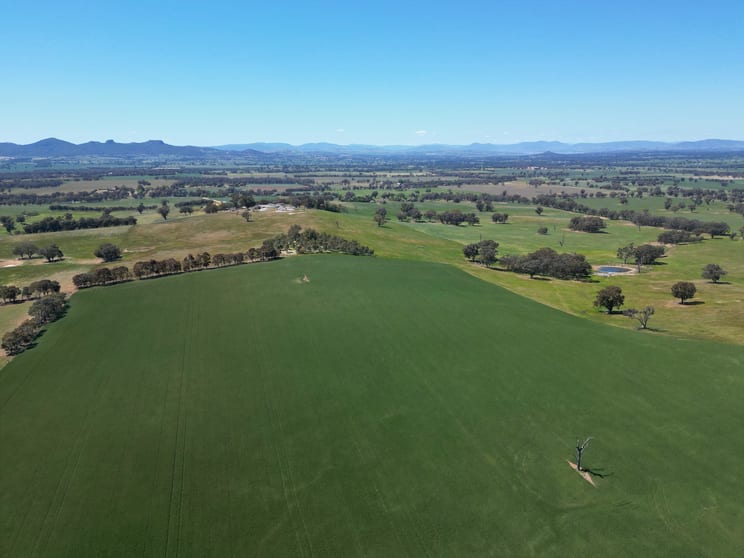Click to view all images 798 Bethel Road Glenellen NSW 2642 - Image 3