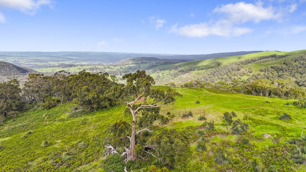 Lot 8 Strangways Road Inman Valley SA 5211 - Image 3