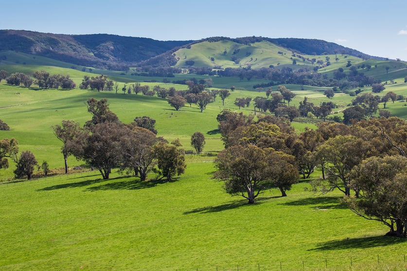 Holbrook NSW 2644 - Image 3