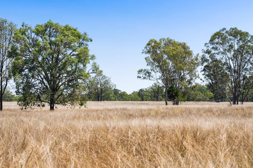Click to view all images Lot 14 Coes Boundary Road Durong QLD 4610 - Image 2