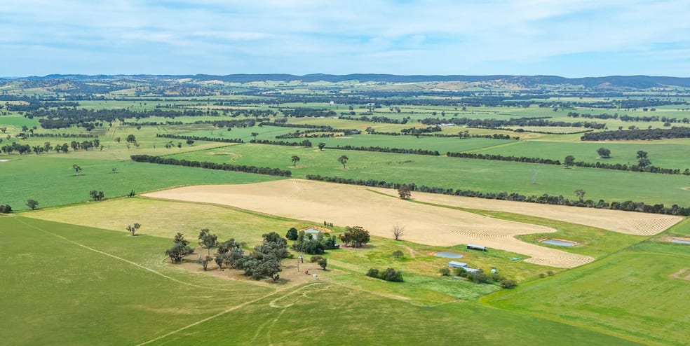 1470 Yerong Creek Mangoplah Road Mangoplah NSW 2652 - Image 2