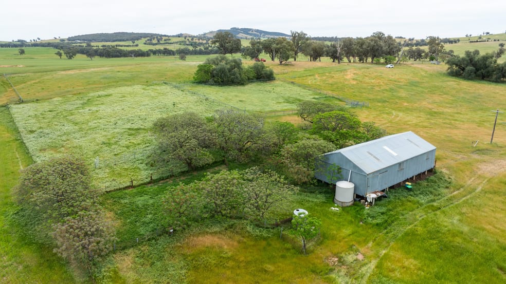 1470 Yerong Creek Mangoplah Road Mangoplah NSW 2652 - Image 3
