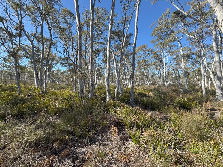 1588 Oallen Ford Road Oallen NSW 2622 - Image 2