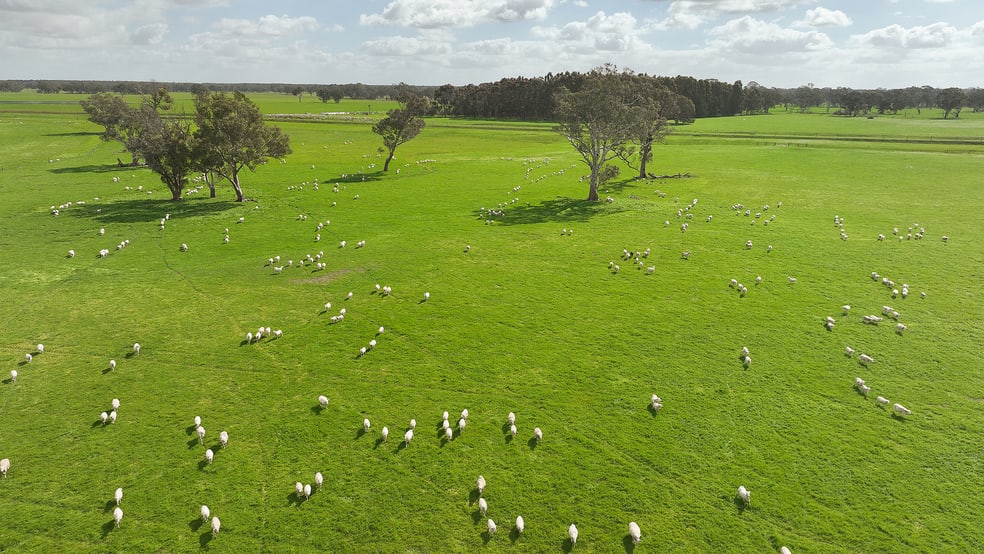 Click to view all images 546 Bool Lagoon West Road Penola SA 5277 - Image 1
