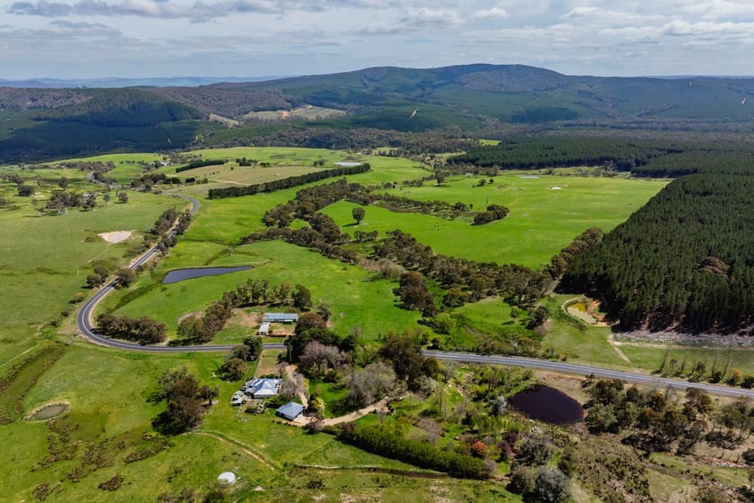 Click to view all images 2026 Jingellic Road Tumbarumba NSW 2653 - Image 1