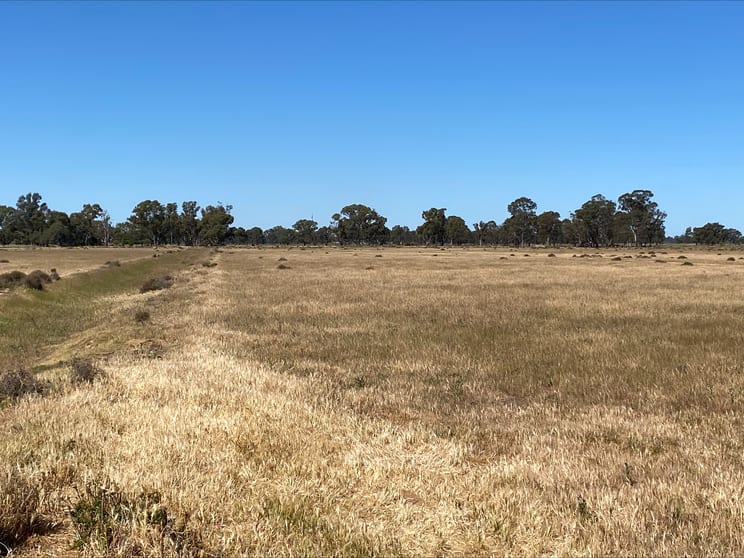 Click to view all images 748 Hinkson Road Koondrook VIC 3580 - Image 2