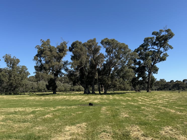 Click to view all images Lot 1 Ludlow Road North Forrest Beach WA 6271 - Image 3