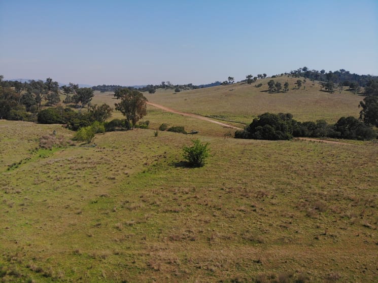 Click to view all images Riverview Road Bingara NSW 2404 - Image 3