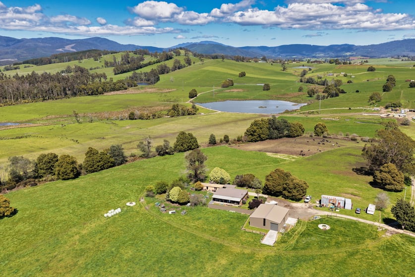 39 Careys Road Scottsdale TAS 7260 - Image 1