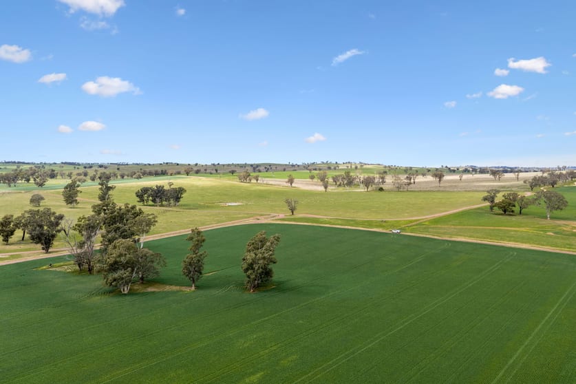 Click to view all images "Bellissima" 630 Astons Lane, Thuddungra Via Young NSW 2594 - Image 3