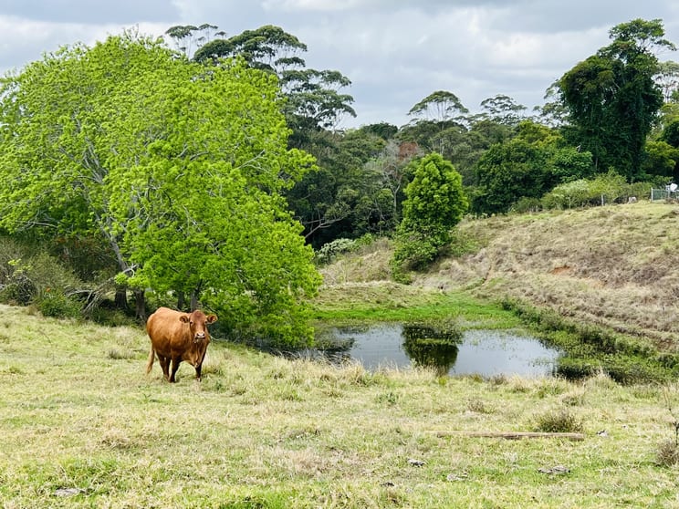 Click to view all images 50 Horne Road Mount Mee QLD 4521 - Image 2