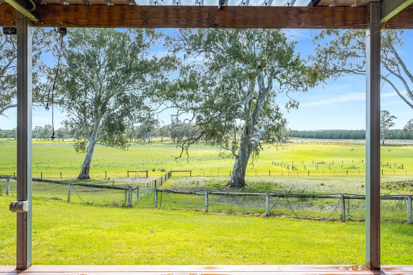 Click to view all images 1242 Old Comaum Rd Coonawarra SA 5263 - Image 2