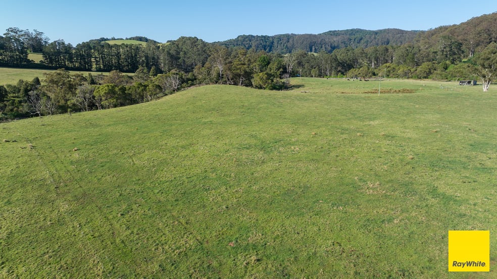 6060 Waterfall Way Dorrigo NSW 2453 - Image 2