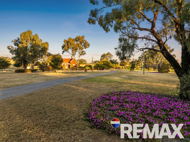 Click to view all images 2992 Byrnes Road Junee NSW 2663 - Image 1
