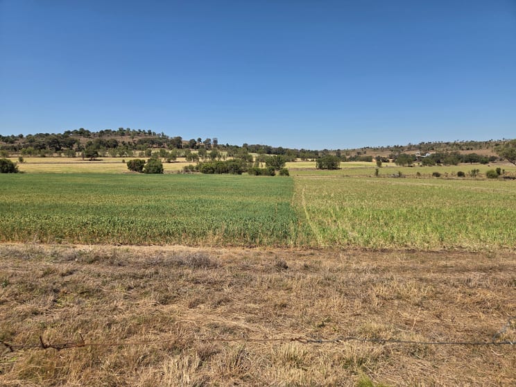 369 Johnstones Road Bell QLD 4408 - Image 3