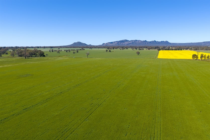 Click to view all images 1174 Northern Grampians Road Laharum VIC 3401 - Image 1