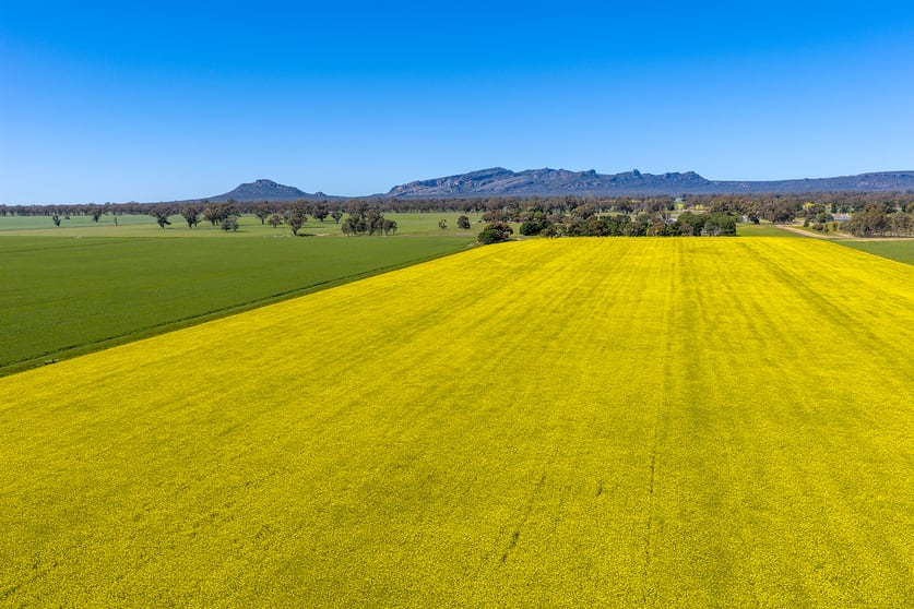 Click to view all images 1174 Northern Grampians Road Laharum VIC 3401 - Image 2