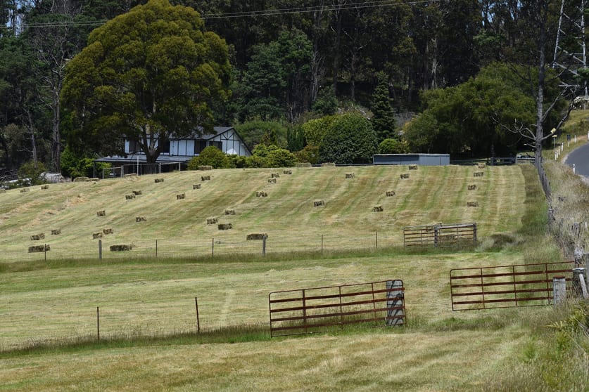 Click to view all images 1001 Holwell Road Holwell TAS 7275 - Image 3