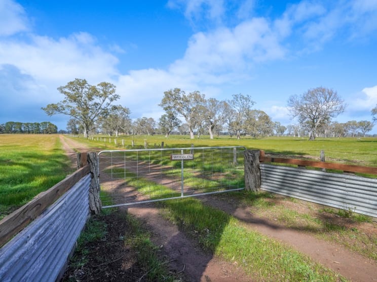 359 East West Road Mooralla VIC 3314 - Image 3