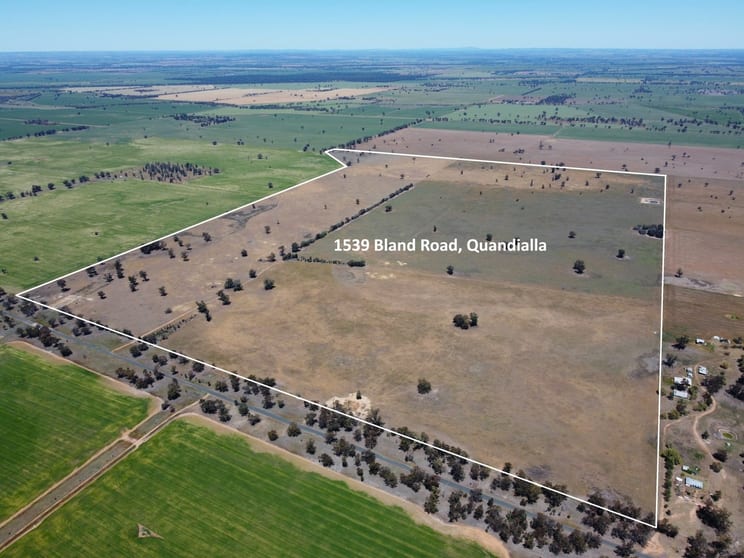 Click to view all images 1539 Bland Road Quandialla NSW 2721 - Image 3