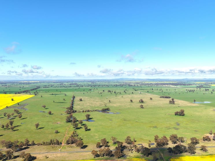 Click to view all images 1539 Bland Road Quandialla NSW 2721 - Image 2