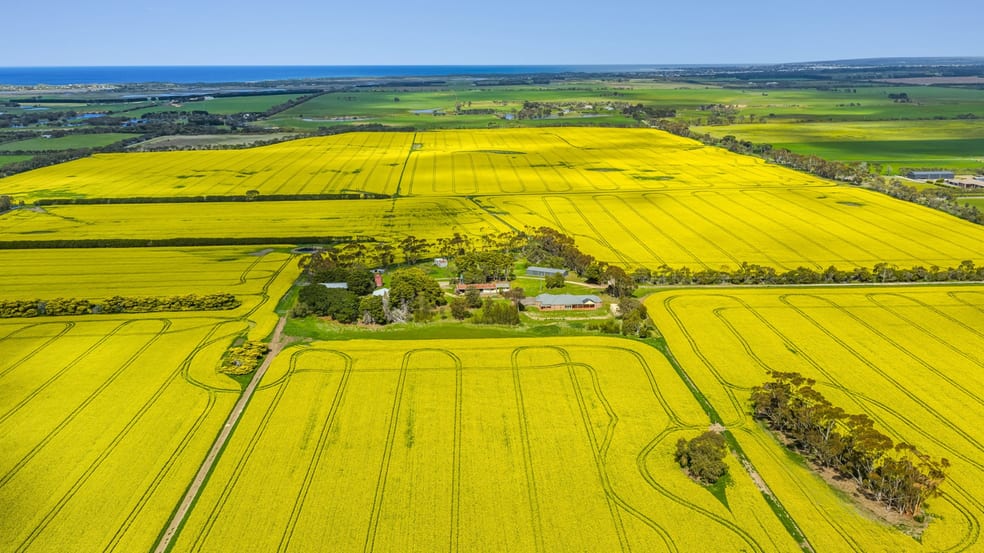 495 Charlemont Road Connewarre VIC 3227 - Image 2