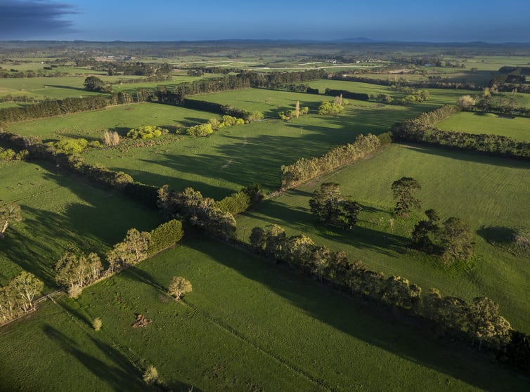 Click to view all images 153 Caddys Lane Tylden VIC 3444 - Image 2