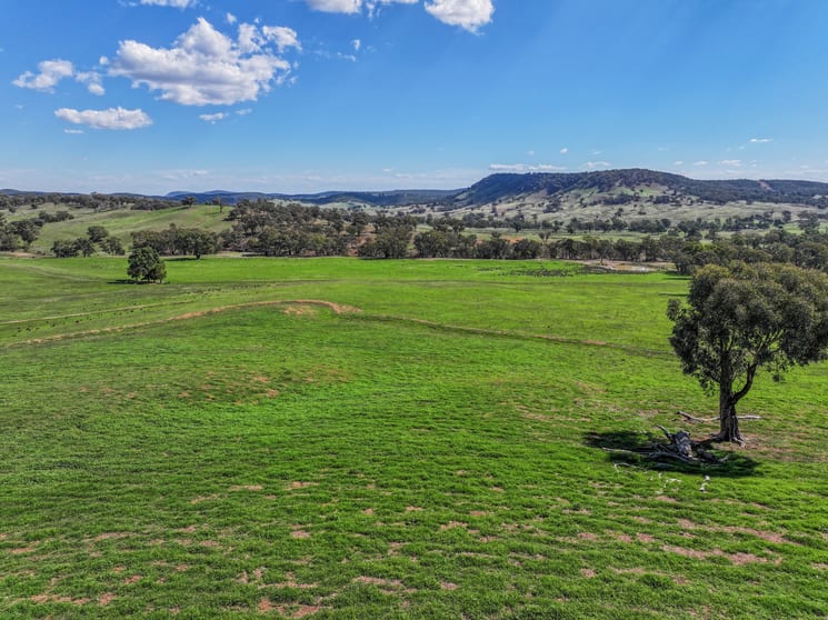 Click to view all images "Moura" Waterhole Creek Road Mandagery NSW 2870 - Image 3