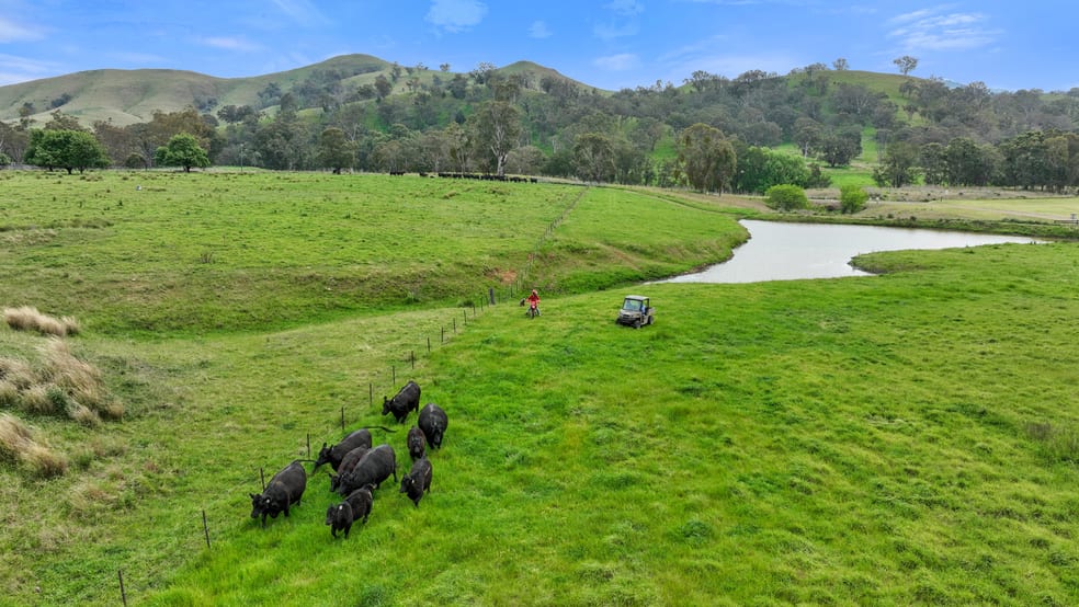 Click to view all images 53 Bushes Creek Road Timor NSW 2338 - Image 2