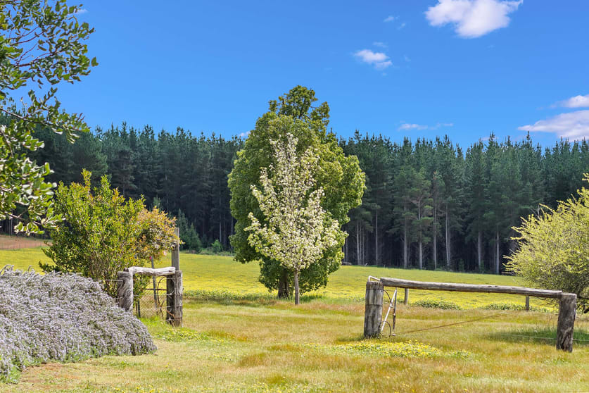 Click to view all images Wellington Forest WA 6236 - Image 3