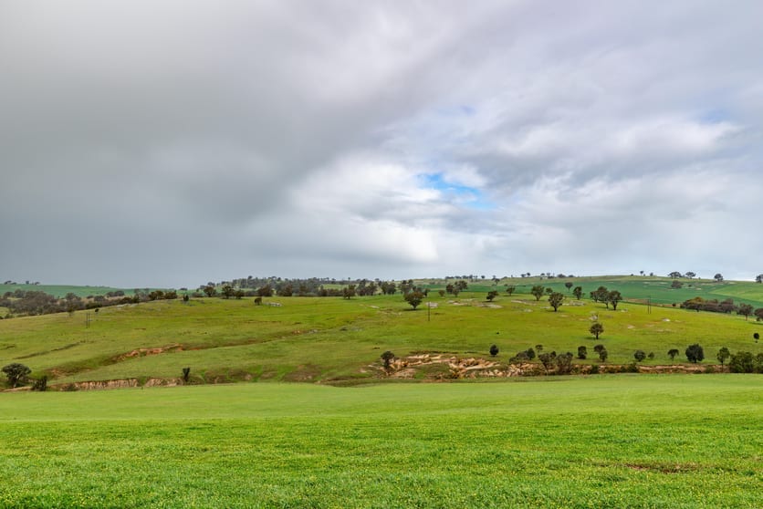 1126 Pattersons Road Harefield NSW 2650 - Image 2