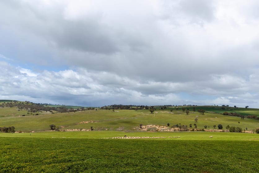 1126 Pattersons Road Harefield NSW 2650 - Image 3