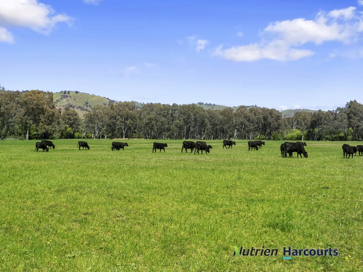 26 Baynes Road Molesworth VIC 3718 - Image 2